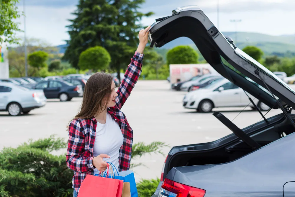 Theme Park Wheelchair Transportation Service in Orange County, Florida: Your Complete Guide